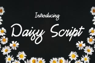 Daisy Script: A Fresh Take on Feminine Script Fonts